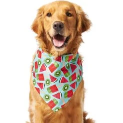 Frisco Fruity Summer Dog & Cat Bandana -Meow Meals 249204 PT2. AC SS1800 V1637644629