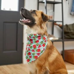 Frisco Fruity Summer Dog & Cat Bandana -Meow Meals 249204 PT4. AC SS1800 V1637668676