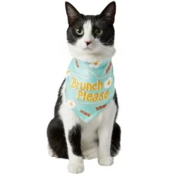 Frisco Brunch Please Dog & Cat Bandana 12 Frisco Brunch Please Dog & Cat Bandana -Meow Meals 249207 PT2. AC SS1800 V1696597732