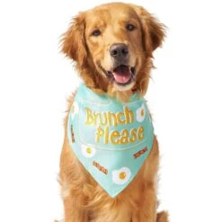 Frisco Brunch Please Dog & Cat Bandana 13 Frisco Brunch Please Dog & Cat Bandana -Meow Meals 249207 PT3. AC SS1800 V1696597730
