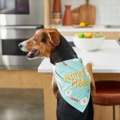 Frisco Brunch Please Dog & Cat Bandana 15 Frisco Brunch Please Dog & Cat Bandana -Meow Meals 249207 PT5. AC SS1800 V1696597732
