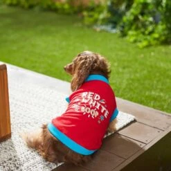 Frisco Red, White & Boop Dog & Cat T-Shirt -Meow Meals 249242 PT5. AC SS1800 V1624616560