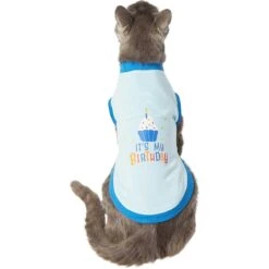 Frisco It's My Birthday & Cat T-Shirt -Meow Meals 249249 PT2. AC SS1800 V1624604252