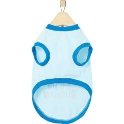 Frisco It's My Birthday & Cat T-Shirt -Meow Meals 249249 PT4. AC SS1800 V1624612661