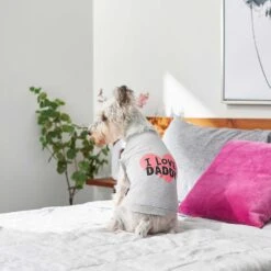 Frisco I Love Daddy Dog & Cat T-Shirt, Gray -Meow Meals 249263 PT5. AC SS1800 V1624592867