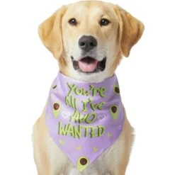 Frisco You're All I've Avo Wanted Dog & Cat Bandana -Meow Meals 249292 PT2. AC SS1800 V1637723806