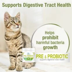 Four Paws Healthy Promise Pre & Probiotics Soft Chews Cat Supplement, 90 Count -Meow Meals 249498 PT3. AC SS1800 V1597937177