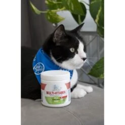 Four Paws Healthy Promise Multivitamin Soft Chews Cat Supplement, 120 Count -Meow Meals 249508 PT1. AC SS1800 V1661179105