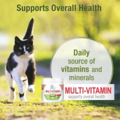 Four Paws Healthy Promise Multivitamin Soft Chews Cat Supplement, 120 Count -Meow Meals 249508 PT3. AC SS1800 V1597938407