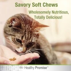 Four Paws Healthy Promise Multivitamin Soft Chews Cat Supplement, 120 Count -Meow Meals 249508 PT5. AC SS1800 V1597934487
