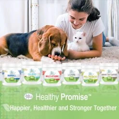 Four Paws Healthy Promise Multivitamin Soft Chews Cat Supplement, 120 Count -Meow Meals 249508 PT8. AC SS1800 V1597939905