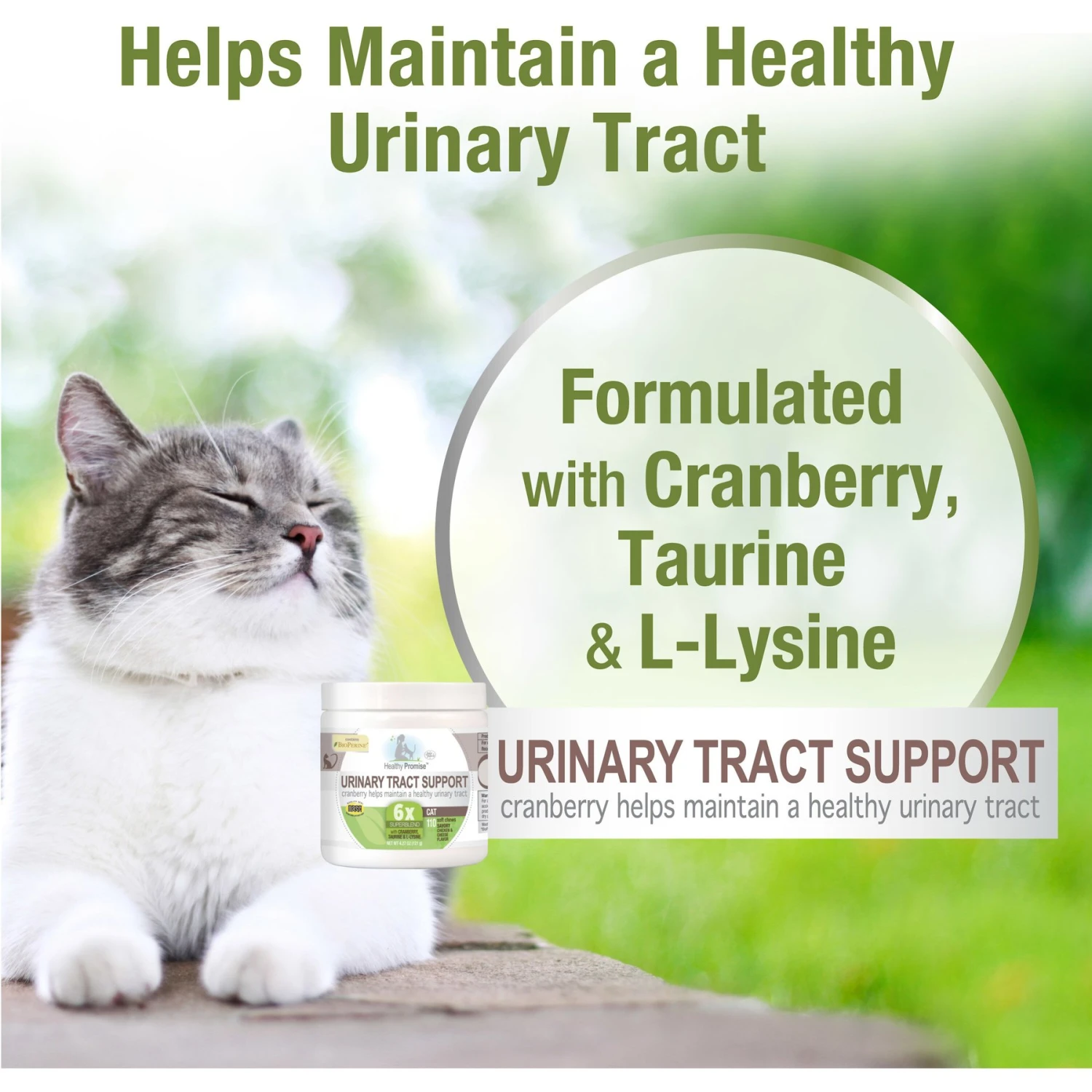 Four Paws Healthy Promise Soft Chews Urinary Tract Cat Supplement, 110 Count 6 Four Paws Healthy Promise Soft Chews Urinary Tract Cat Supplement, 110 Count - Image 4