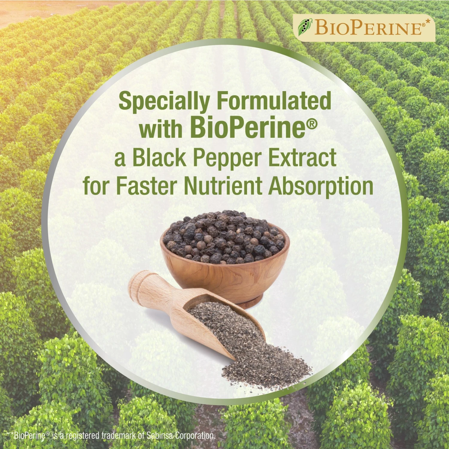 Four Paws Healthy Promise Soft Chews Urinary Tract Cat Supplement, 110 Count 9 Four Paws Healthy Promise Soft Chews Urinary Tract Cat Supplement, 110 Count - Image 7