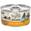 Purina Beyond High Protein Organic Chicken & Carrot Recipe Wet Cat Food, 3-oz Can, Case Of 12 2 Purina Beyond High Protein Organic Chicken & Carrot Recipe Wet Cat Food, 3-oz Can, Case Of 12 -Meow Meals 252852 MAIN. AC SS1800 V1700159359
