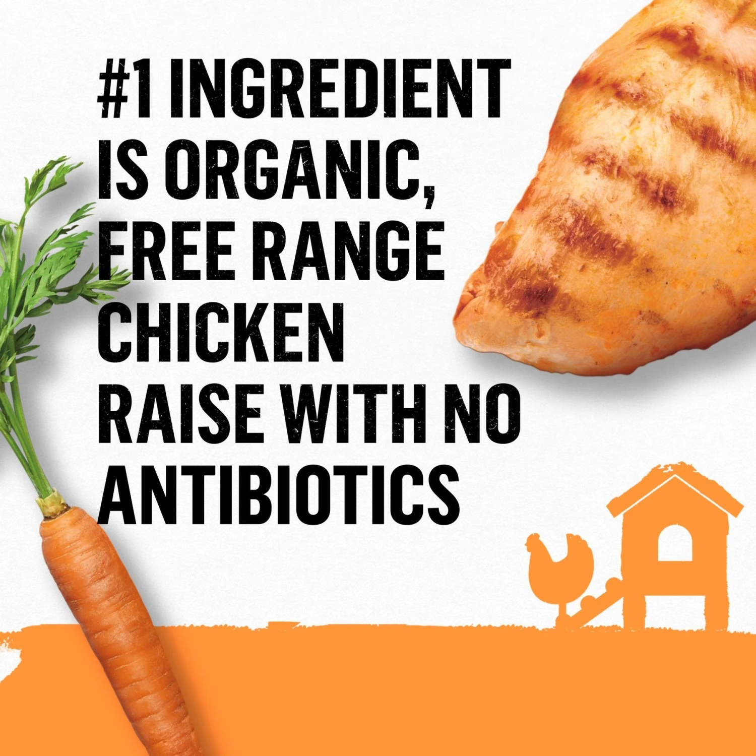 Purina Beyond High Protein Organic Chicken & Carrot Recipe Wet Cat Food, 3-oz Can, Case Of 12 7 Purina Beyond High Protein Organic Chicken & Carrot Recipe Wet Cat Food, 3-oz Can, Case Of 12 - Image 5