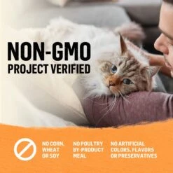 Purina Beyond High Protein Organic Chicken & Carrot Recipe Wet Cat Food, 3-oz Can, Case Of 12 18 Purina Beyond High Protein Organic Chicken & Carrot Recipe Wet Cat Food, 3-oz Can, Case Of 12 -Meow Meals 252852 PT7. AC SS1800 V1700160140