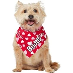 Frisco XOXO Hearts Personalized Dog & Cat Bandana -Meow Meals 254203 PT6. AC SS1800 V1632427913