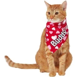 Frisco XOXO Hearts Personalized Dog & Cat Bandana -Meow Meals 254203 PT7. AC SS1800 V1632417974