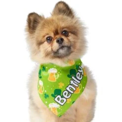 Frisco Green Ale Personalized Dog & Cat Bandana -Meow Meals 254207 PT6. AC SS1800 V1618509755