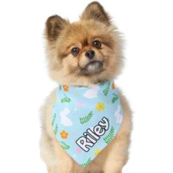 Frisco Easter Bunny Personalized Dog & Cat Bandana -Meow Meals 254211 PT6. AC SS1800 V1618509425