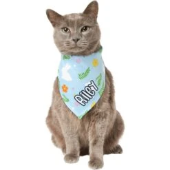 Frisco Easter Bunny Personalized Dog & Cat Bandana -Meow Meals 254211 PT7. AC SS1800 V1618510982