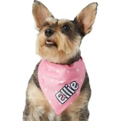 Frisco Polka Dot Personalized Dog & Cat Bandana -Meow Meals 254223 PT6. AC SS1800 V1696432728