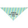 Frisco Big Brother Personalized Dog & Cat Bandana -Meow Meals 254231 MAIN. AC SS1800 V1633064216