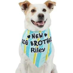 Frisco Big Brother Personalized Dog & Cat Bandana -Meow Meals 254231 PT6. AC SS1800 V1633071398