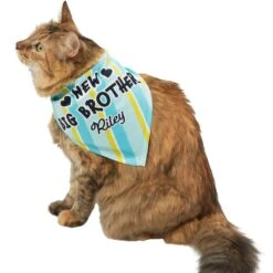Frisco Big Brother Personalized Dog & Cat Bandana -Meow Meals 254231 PT7. AC SS1800 V1633067486
