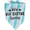 Frisco Big Sister Personalized Dog & Cat Bandana -Meow Meals 254235 MAIN. AC SS1800 V1619559736