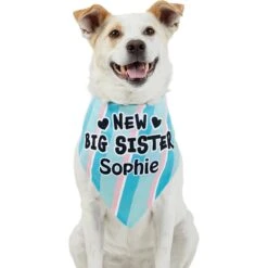 Frisco Big Sister Personalized Dog & Cat Bandana -Meow Meals 254235 PT6. AC SS1800 V1619558258
