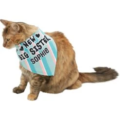 Frisco Big Sister Personalized Dog & Cat Bandana -Meow Meals 254235 PT7. AC SS1800 V1619560404