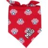 Frisco Patriotic Paws Personalized Dog & Cat Bandana 1 Frisco Patriotic Paws Personalized Dog & Cat Bandana -Meow Meals 254243 MAIN. AC SS1800 V1619560378
