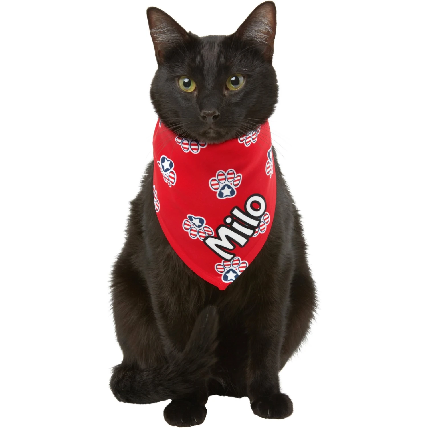 Frisco Patriotic Paws Personalized Dog & Cat Bandana 10 Frisco Patriotic Paws Personalized Dog & Cat Bandana - Image 8