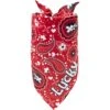 Frisco Paisley Printed Personalized Dog & Cat Bandana -Meow Meals 254247 MAIN. AC SS1800 V1701981426