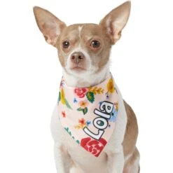 Frisco Floral Personalized Dog & Cat Bandana -Meow Meals 254255 PT6. AC SS1800 V1618507356