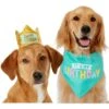 Frisco Happy Birthday Dog & Cat Crown & Frisco Dog & Cat Birthday Bandana -Meow Meals 255523 MAIN. AC SS1800 V1603716093