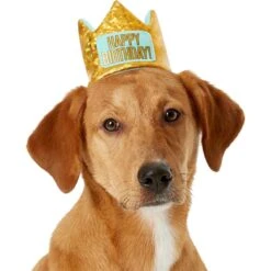 Frisco Happy Birthday Dog & Cat Crown & Frisco Dog & Cat Birthday Bandana -Meow Meals 255523 PT1. AC SS1800 V1603716100
