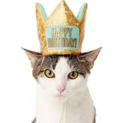 Frisco Happy Birthday Dog & Cat Crown & Frisco Dog & Cat Birthday Bandana -Meow Meals 255523 PT2. AC SS1800 V1603716120