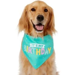 Frisco Happy Birthday Dog & Cat Crown & Frisco Dog & Cat Birthday Bandana -Meow Meals 255523 PT3. AC SS1800 V1603716114