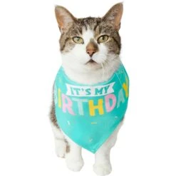 Frisco Happy Birthday Dog & Cat Crown & Frisco Dog & Cat Birthday Bandana -Meow Meals 255523 PT4. AC SS1800 V1603716120