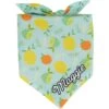 Frisco Citrus Personalized Dog & Cat Bandana 1 Frisco Citrus Personalized Dog & Cat Bandana -Meow Meals 258758 MAIN. AC SS1800 V1619558872