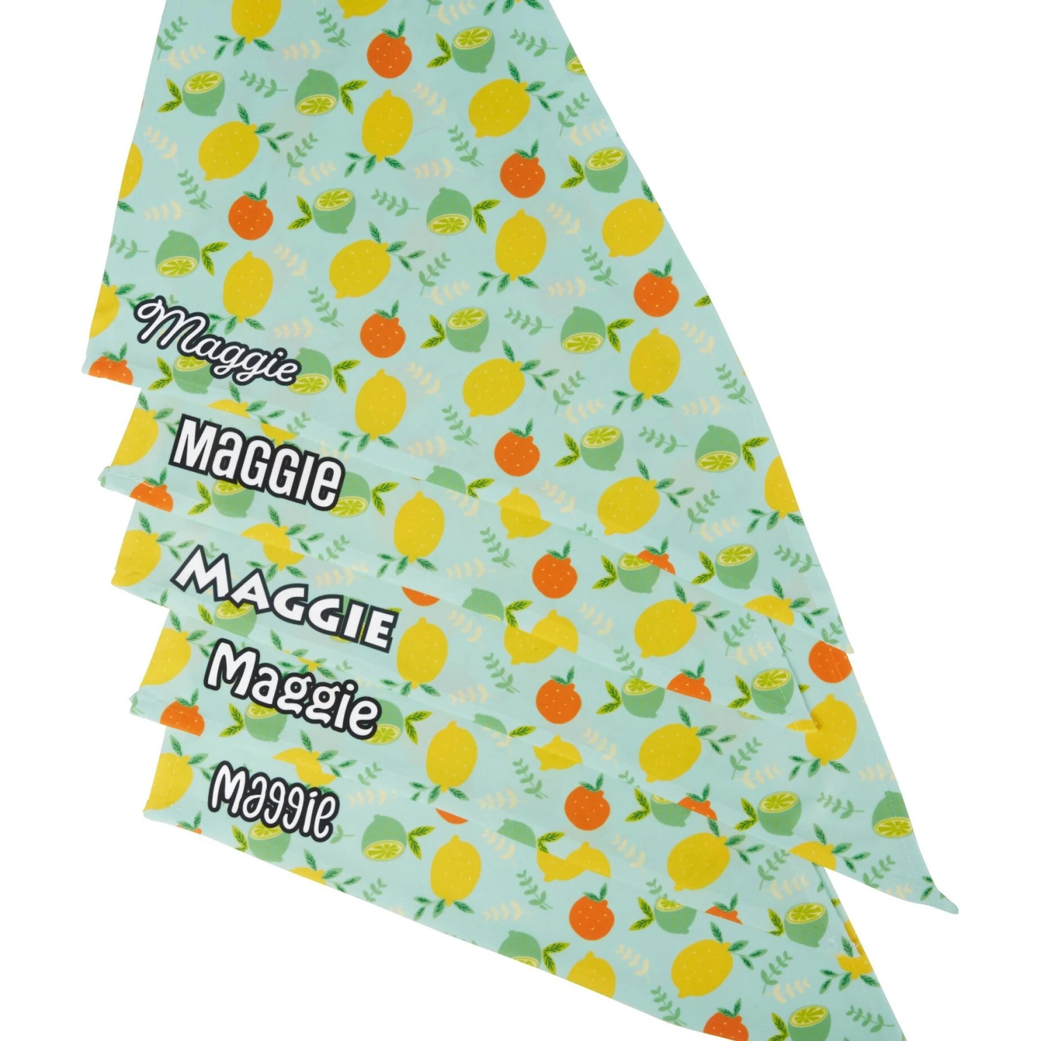 Frisco Citrus Personalized Dog & Cat Bandana 7 Frisco Citrus Personalized Dog & Cat Bandana - Image 5