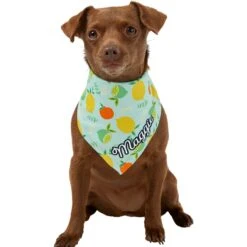 Frisco Citrus Personalized Dog & Cat Bandana 17 Frisco Citrus Personalized Dog & Cat Bandana -Meow Meals 258758 PT6. AC SS1800 V1619560354