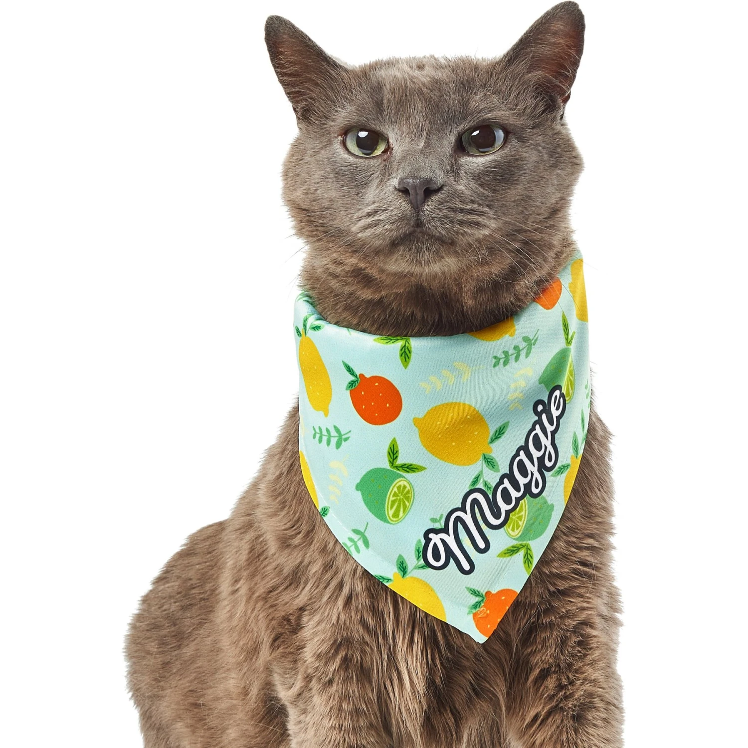 Frisco Citrus Personalized Dog & Cat Bandana 10 Frisco Citrus Personalized Dog & Cat Bandana - Image 8