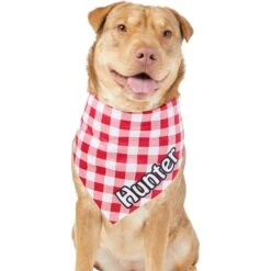 Frisco Gingham Personalized Dog & Cat Bandana -Meow Meals 258775 PT6. AC SS1800 V1619558303