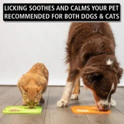 Hyper Pet IQ Rewards Cat & Dog Slow Feeder -Meow Meals 258929 PT2. AC SS1800 V1605883620