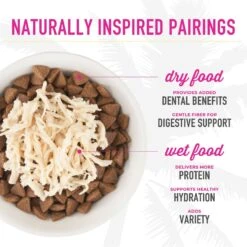 Tiki Cat Luau Velvet Mousse Salmon & Pumpkin In Broth Senior Wet Cat Food, 2.8-oz, Case Of 12 17 Tiki Cat Luau Velvet Mousse Salmon & Pumpkin In Broth Senior Wet Cat Food, 2.8-oz, Case Of 12 -Meow Meals 259094 PT7. AC SS1800 V1700002220