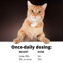 RestoraPet Feline Formula Organic Tuna Flavor Cat Supplement, 2-oz Bottle -Meow Meals 259494 PT7. AC SS1800 V1606171340