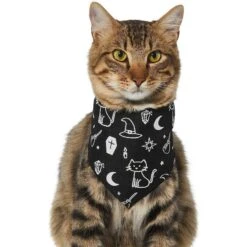 Frisco Glow In The Dark Mystical Print Dog & Cat Bandana -Meow Meals 261218 PT2. AC SS1800 V1633086982